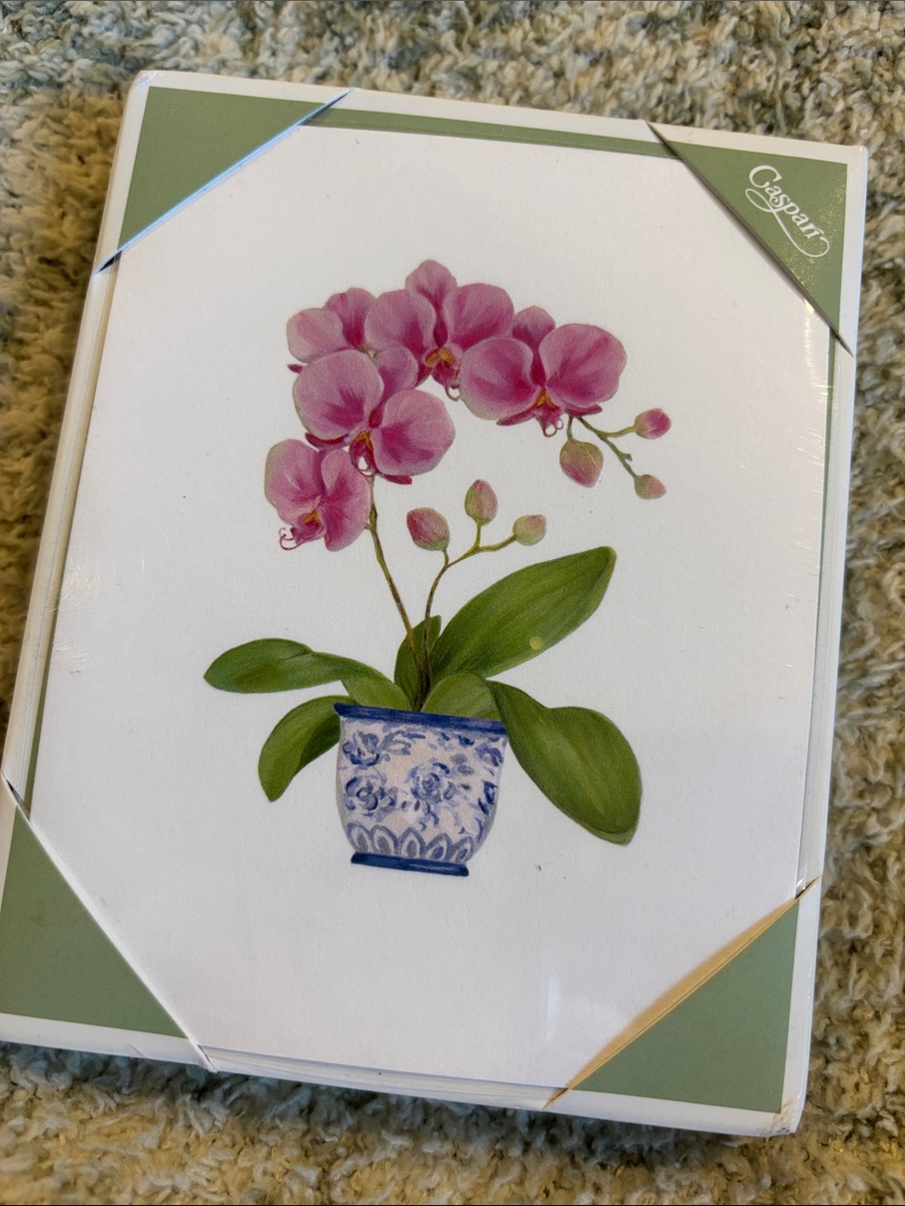 Caspari Pink Tropical Orchid in Blue Porcelain Pot Note Cards Set of 10 NWT